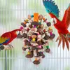 Other Bird Supplies Large Parrot Chewing Toys Natural Nuts Corn Tearing Toy Wooden Cage For Cockatoos African Grey Macaws Cokatoos