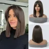 Wigs Dark Brown Straight Shoulder Length Synthetic Wigs with Side Parted Bangs for Women Daily Party Cosplay Wig Heat Resistant Fiber