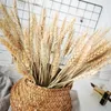 Dekorativa blommor 80st Natural Wheat Spikes Bouquet For Kitchen Church Tables Weddings Party Supplies Torkade Flower Boho Home Autumn Garden