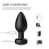 Anal Vibrator for Man Wireless Remote Control Silicone Butt Plug Gay Sex Toy Woman Adult Products Prostate Massager 240320