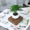 Levitação de ar bonsai pote rotação flor plantadores suspensão magnética flutuante vaso planta casa sem plantas 240325