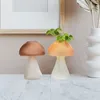 Wazony przezroczysty grzybowy szklany wazon roślina hydroponiczna hydroponika stół kwiatowy dekoracja biura domowego