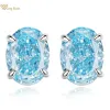 Örhängen Wong Rain 925 Sterling Silver Crushed Ice Cut Aquamarine High Carbon Diamonds Gemstone Ear Studs Earring Wedding Fine Jewelry