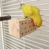 Other Bird Supplies Parrots Toy Birdcage Tearing Puzzle Wooden Block Chewing For Small Pet Birds Screw Foraging