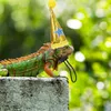 Vêtements pour chiens chapeau animal de compagnie lizard