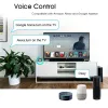 Controlla Moes Tuya Wifi Smart Ir Telecomando Sensore di temperatura e umidità per condizionatore Tv Ac Funziona con Alexa Google Home