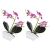 Decoratieve bloemen 2 stuks simulatie Phalaenopsis kunstmatige nepbonsai faux plant in pot plastic geëmuleerd ingemaakte