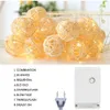 LED Strings Wai Lights Thai Handmadetakraw Ball Rattan Lampa AC220V UE Plug Warm White 5M 20LES String na przyjęcie weselne YQ240401