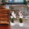 Fiori decorativi Fiore artificiale Phalaenopsis Bonsai Simulazione Orchidea Ornamento simulato Decorazioni per la tavola da pranzo in vaso finto