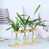 Vaser mini hydroponic blomkruka hem vas dekor transparent glas Sjudelösa växtkrukor Tablett Garden Planters Decoration