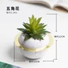 Decorative Flowers Simulated Plant Thunderboy Artificial Succulent Plants Bonsai Random Variety Without Flower Pot