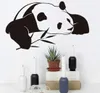 Chinese Panda Wall Stickers For Kids Room Cute Animal Diy Wallpaper Waterproof Self Adhesive Wall Art Decals Home Decor6702799