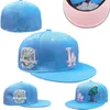 Бейсбольные Доджерс Облегающие шляпы Классические чемпионы Мировой серии Хип-хоп Спорт SOX Полностью закрытые кепки размера LA NY Вводная часть 1995 Stitch Heart "Series" Love Hustle Flowers a26