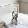 Dekorativa blommor Eternal Flower Taraxacum Glass Cover Dried Gift