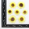 Decorative Flowers 120pcs Pressed Dried Chrysanthemum Frutescen Flower Herbarium Resin Epoxy Jewelry Card Bookmark Frame Phone Case Makeup