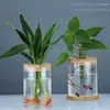 Vaser transparent hydroponisk blommapottimitation Glas Sjustlös plantering av gröna växtharts Hemvas