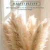 Fleurs décoratives 80cm Pampas Grass Extra Large Naturel Blanc Gris Bouquet De Fleurs Séchées Moelleux Pour Boho Vintage Décoration De Mariage À La Maison