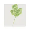 Placemats Lucky Clover aquarel keramische onderzetters (vierkant) theekophouder Kawaii schattige set voor koffiekopjes