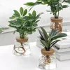 Vases Pot de fleur hydroponique transparent imitation verre plantation sans sol en pot plante verte résine vase à la maison