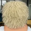 Wigs Short Hair Afro Kinky Curly Wigs With Bangs For Black Women Cosplay Lolita Synthetic Natural Blonde White Pink Blue Green Wig