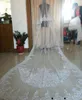 Bridal Veils Real Image Wedding Long Lace Applique Crystals Two Layers Cathedral Length Blusher Veil8340751