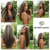 Wigs Haircube Lang recht bruin gemengd blond Hoogtepunt Synthetische pruiken Natuurlijke haarlijn kanten voorpruiken voor vrouwen dagelijks cosplay haar