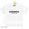 ESS Designer Tide Chest Letter Laminerad tryck Kort ärm High Street Loose Overize Casual T-shirt 100% bomullstoppar för män och kvinnor Tshirt 805