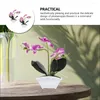 Decoratieve bloemen 2 stuks simulatie Phalaenopsis kunstmatige nepbonsai faux plant in pot plastic geëmuleerd ingemaakte