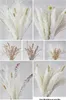 Dekorative Blumen Pampasgras Home Decor Echtes Schilf Natürliche Trockenpflanzen Hochzeitsdekoration Zubehör Trockenblumenstrauß Dekoration