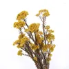 Decorative Flowers 50g Natural Millet Fruit Dried Flower Year 2024 Decoration High Quality Artificial Christmas For The Tree