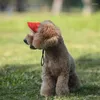 Köpek Kıyafet Şapkası Güneş Koruyucu Beyzbol Kapakları Kulak Delikleri ile Açık Hava Sporları Küçük ve orta büyük köpekler için ayarlanabilir evcil hayvan