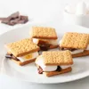 Nostalgia Desktop S'mores elétricos internos fazendo conjunto Hine Smores com palitos de cozimento de marshmallow 4 bandejas, adequado para biscoitos Graham, chocolate e