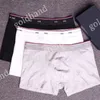 Slip da uomo sexy Mutande Designer Sport Boxer traspiranti Intimo in cotone di alta qualità Opzione multi colore