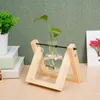 Vaser växt transparent glödlampa vas skrivbord planter terrarium