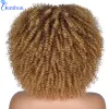 Perücken kurzes Haar Afro Kinky Curly Perücke mit Pony Lose Synthetic Cosplay flauschige natürliche Perücken für schwarze Frauen dunkelbraun 10 "Edelstein