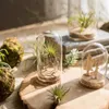 Vases en verre transparent, couvercle de dôme, Cloche, pot de cloche, Terrariums succulents avec liège en bois pour la maison, le bureau, la décoration de Table, bricolage