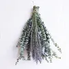 Decorative Flowers 12 Pcs Dried Preserved Stems & Lavender Bundles For Shower 18In Leaves Star