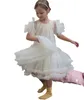 Sommarflickor spetsar tyll prinsessan klänning barn spets gace falbala flyg ärm födelsedagsfest klänningar 2024 söta barn kläder z7466