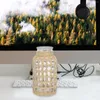 Vases Rattan Glass Vase Woven Container Desktop Decor Household Wedding Centerpieces Tables Flower Arrangement Ceramic Test Tube