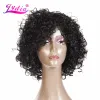 Wigs Lydia Afro Curly Synthetische Pruiken Korte Kanekalon Hittebestendige pruik voor Afro -Amerikaanse vrouwen Black Mix kleur