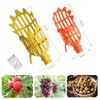 1pc jardin panier de fruits têtes têtes en plastique multicolore Fruit de cueillette d'outil d'outil d'outil agricole Bayberry Jujube