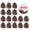 Vases TOYMYTOY 50pcs 6-8cm Christmas Natural Pine Cones Pinecone Decor Xmas Tree Decoration Crafts Home House Kitchen Winter