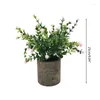 Decorative Flowers Artificial Plant Potted Mini Fake Flower Green Gypsophila Plants Table Top Ornaments Home Office Decor