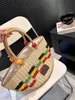 Fashion luxury letter logo with contrast woven ABS leisure Joker handbag large female taro/sea salt/banana