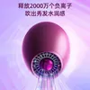 Hair Dryers Electric Hair Dryers Household Non Harmful Constant Temperature Fast Drying Hair Dryers Negative Ion Light Tone 240401