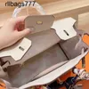 Platin Deri Tam Tasarımcı Bk Kadın Çanta Çantaları Cowhide Bag Moda Tote Çanta Tanrıça Yüksek Quaty Crossbody Arka Çantalar Ücretsiz İpek Eşarp NK1Z