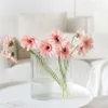 Vases Decorative Terrarium Vase Table Modern Hydroponics Aesthetic Room Art Minimalist Glass Pots De Fleurs Home Accessories