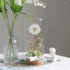 Dekorativa blommor Eternal Flower Taraxacum Glass Cover Dried Gift