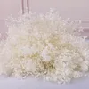 Bouquet de fleurs séchées pour bébés, 100g, branches de gypsophile naturelles en vrac, blanches, pour mariage, couronne florale, DIY, 240325