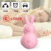 Andere Gesundheits Schönheitsgegenstände springen Kaninchen Niedlicher Vibrator für weibliche USB -Vibration Love Ball weiblicher Vaginal- und Klitoralstimulator Strong Vibration Y240